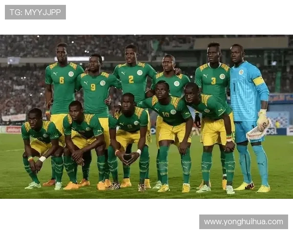 贝宁对阵多哥非洲杯精彩对决前瞻分析与球队状态评估